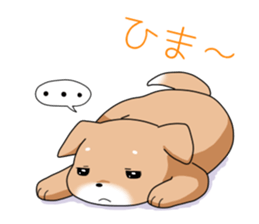 littele mame shiba sticker #7799567