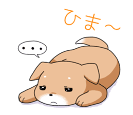 littele mame shiba sticker #7799567