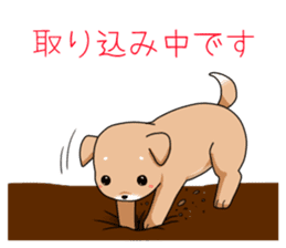 littele mame shiba sticker #7799568