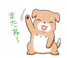 littele mame shiba sticker #7799571