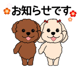 Mogu and Marco of toy poodles/Honorific2 sticker #7799932