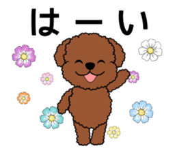 Mogu and Marco of toy poodles/Honorific2 sticker #7799968