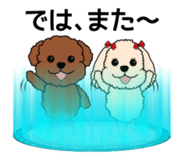 Mogu and Marco of toy poodles/Honorific2 sticker #7799971