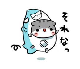 The cat which is scottish sticker #7800173