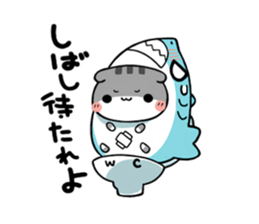 The cat which is scottish sticker #7800179