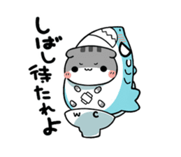 The cat which is scottish sticker #7800179