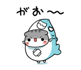 The cat which is scottish sticker #7800182