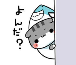 The cat which is scottish sticker #7800196