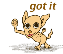Chihua-tan of chihuahua(English version) sticker #7800454