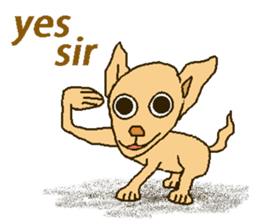 Chihua-tan of chihuahua(English version) sticker #7800455
