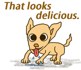 Chihua-tan of chihuahua(English version) sticker #7800456