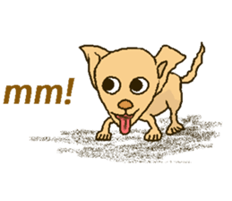 Chihua-tan of chihuahua(English version) sticker #7800467