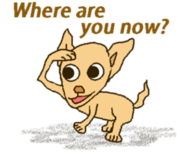 Chihua-tan of chihuahua(English version) sticker #7800488