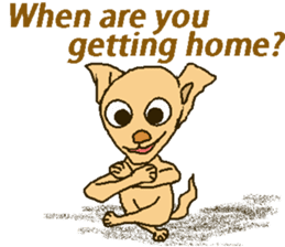 Chihua-tan of chihuahua(English version) sticker #7800489