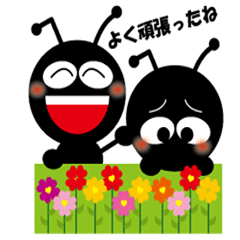 Small small wish Ant2