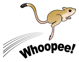 ANIMALS LOL sticker #7806358