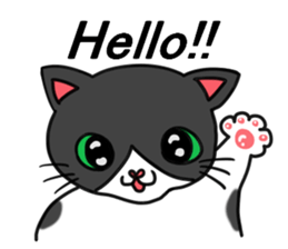 3cats(engrish) sticker #7810657