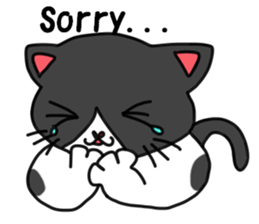 3cats(engrish) sticker #7810659