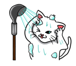 3cats(engrish) sticker #7810673