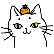 Odd Eye Cat  Muuchan sticker #7811852