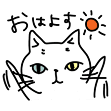 Odd Eye Cat  Muuchan sticker #7811862