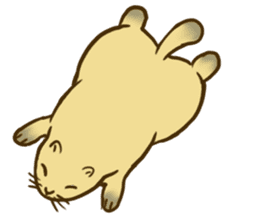 Groundhog:fat-Po sticker #7817747