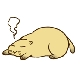 Groundhog:fat-Po sticker #7817756