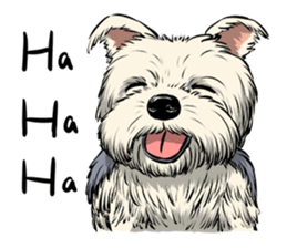 Dodo Yorkie sticker #7818055