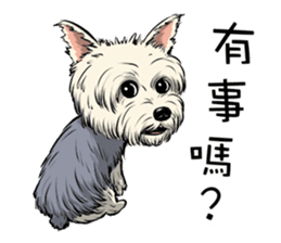 Dodo Yorkie sticker #7818056