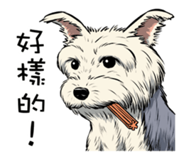 Dodo Yorkie sticker #7818063