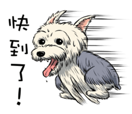 Dodo Yorkie sticker #7818066