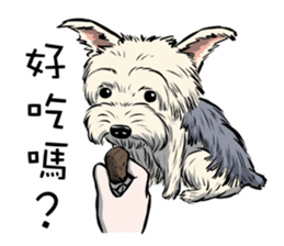 Dodo Yorkie sticker #7818068