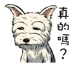 Dodo Yorkie sticker #7818073