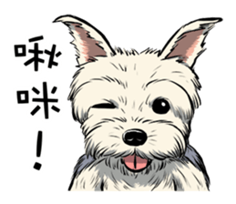 Dodo Yorkie sticker #7818074