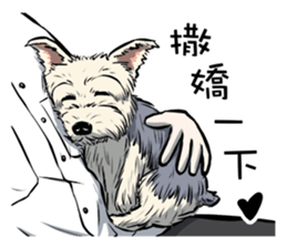 Dodo Yorkie sticker #7818076