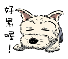 Dodo Yorkie sticker #7818077