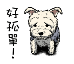 Dodo Yorkie sticker #7818087