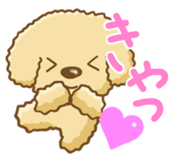Dog's Sticker. Sticker of the Toy Poodle sticker #7821372