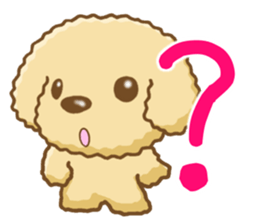 Dog's Sticker. Sticker of the Toy Poodle sticker #7821373