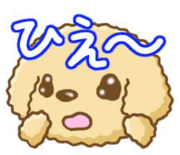 Dog's Sticker. Sticker of the Toy Poodle sticker #7821379