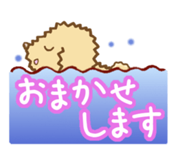 Dog's Sticker. Sticker of the Toy Poodle sticker #7821383