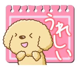 Dog's Sticker. Sticker of the Toy Poodle sticker #7821389