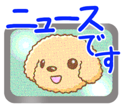 Dog's Sticker. Sticker of the Toy Poodle sticker #7821390
