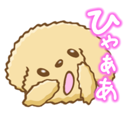 Dog's Sticker. Sticker of the Toy Poodle sticker #7821393