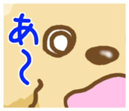 Dog's Sticker. Sticker of the Toy Poodle sticker #7821394