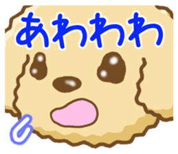 Dog's Sticker. Sticker of the Toy Poodle sticker #7821395