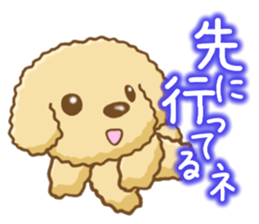 Dog's Sticker. Sticker of the Toy Poodle sticker #7821400