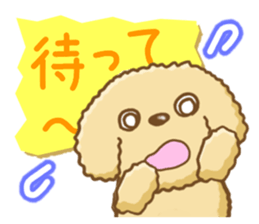 Dog's Sticker. Sticker of the Toy Poodle sticker #7821401