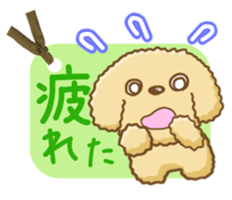 Dog's Sticker. Sticker of the Toy Poodle sticker #7821406