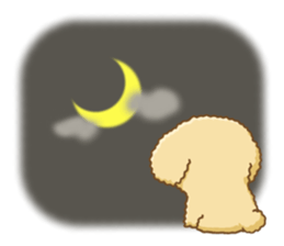 Dog's Sticker. Sticker of the Toy Poodle sticker #7821411